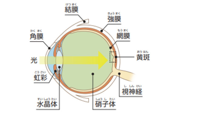 黄斑浮腫